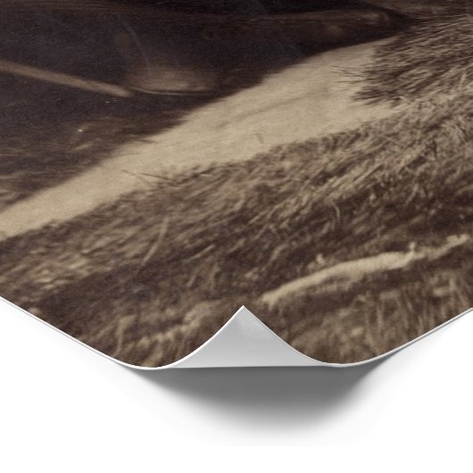 Poster Équipe de Brooklyn de baseball, 1889 (Coin)