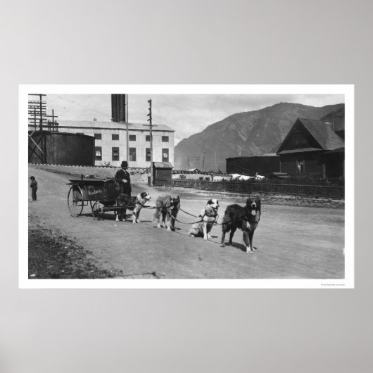 Poster Équipe de chiens de blanchisserie Alaska 1904 (Devant)