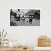 Poster Équipe de chiens de blanchisserie Alaska 1904 (Cuisine)