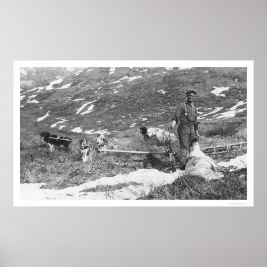 Poster Équipe de chiens de l'Alaska Chasse 1912 (Devant)