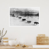 Poster Équipe de chiens Husky Alaska 1918 (Cuisine)