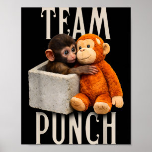 Poster Équipe de coup de poing de bébé singe
