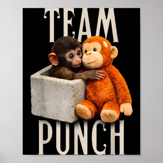 Poster Équipe de coup de poing de bébé singe (Devant)