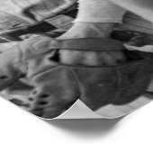 Poster Équipe de Géorgie de baseball dans les années 1930 (Coin)