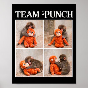 Poster Équipe féminine de singes bébés mignons coup de po