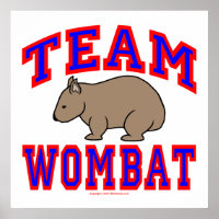 Équipe Wombat VI