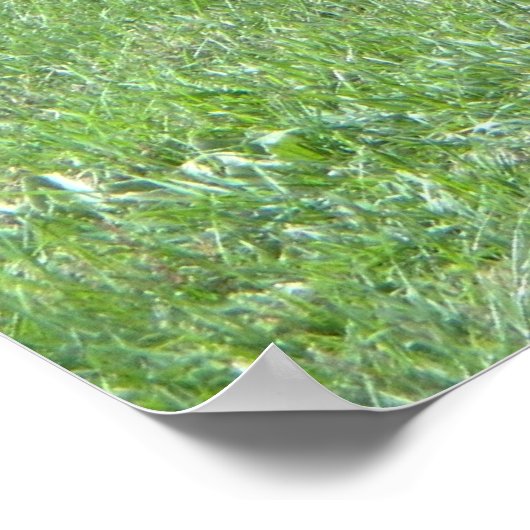 Poster Équipement agricole ancien (Coin)