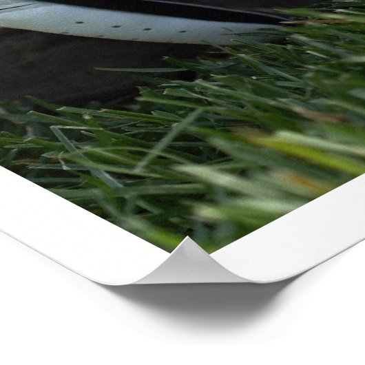 Poster équipement de golf (Coin)