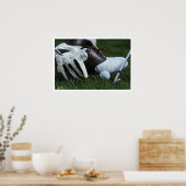 Poster équipement de golf (Cuisine)