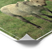 Poster Équipements amusants (Coin)