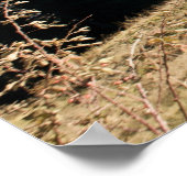 Poster équitation (Coin)