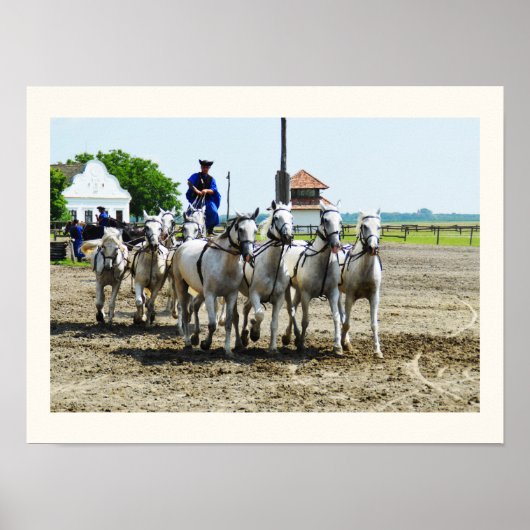 Poster Équitation hongroise (Devant)