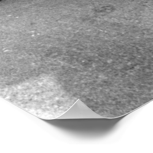 Poster équitation pour Jésus (Coin)