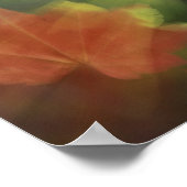 Poster Érable à feuilles de vigne (Coin)