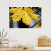 Poster Érable à sucre, automne (Cuisine)