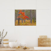 Poster Érable aux couleurs d'automne (Cuisine)