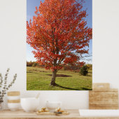 Poster Érable d'automne avec feuilles rouges en feu (Cuisine)