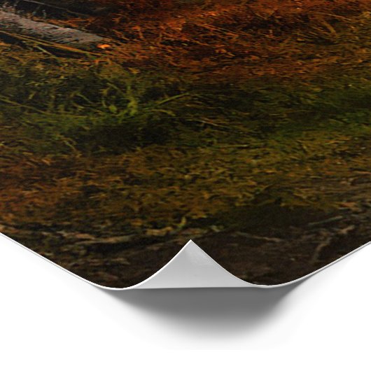 Poster Érable d'automne forêt automne bois feuillage (Coin)