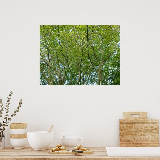 Poster érable japonais (Cuisine)