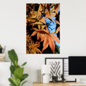 Poster Érable japonais (2) - Photographie florale (Bureau à domicile)
