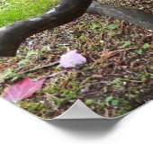 Poster Érable japonais d'automne tordu (Coin)