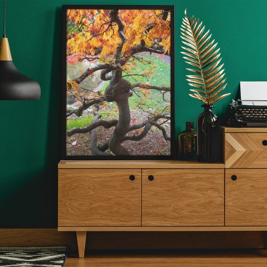 Poster Érable japonais d'automne tordu