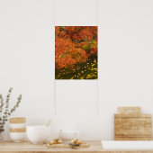 Poster Érable japonais en couleur d'automne (Cuisine)