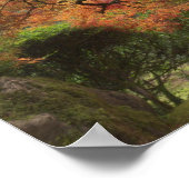 Poster érable japonais en couleur d'automne (Coin)