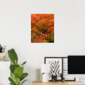 Poster Érable japonais en couleur d'automne (Bureau à domicile)