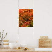 Poster Érable japonais en couleur d'automne (Cuisine)