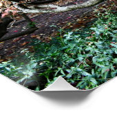 Poster Érable japonais tordu (Coin)