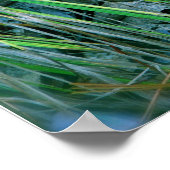 Poster Érable rouge en vert (Coin)