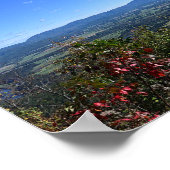 Poster Érable rouge sur la vallée de Page (Coin)