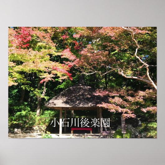 Poster Érables colorées et maison de repos (Devant)