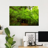 Poster Érables dans la forêt de séquoias (Bureau à domicile)