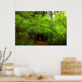 Poster Érables dans la forêt de séquoias (Cuisine)