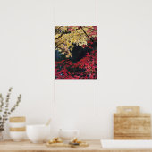 Poster Érables en couleur d'automne (Cuisine)