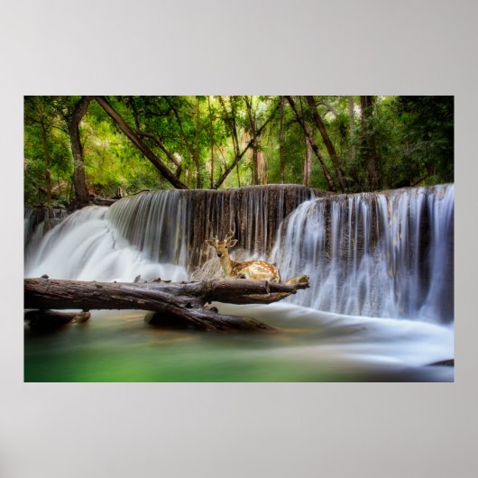 Poster Erawan Waterfall with Deer Relaxing   (Devant)