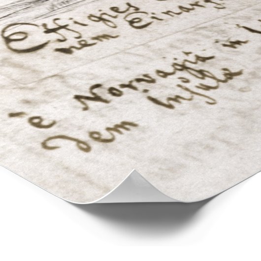 Poster Eric le Rouge (Coin)