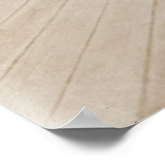 Poster Erika Morini tenant une grande caméra numérique (Coin)