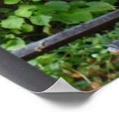 Poster Erlangen Windows et vélo en Allemagne (Coin)