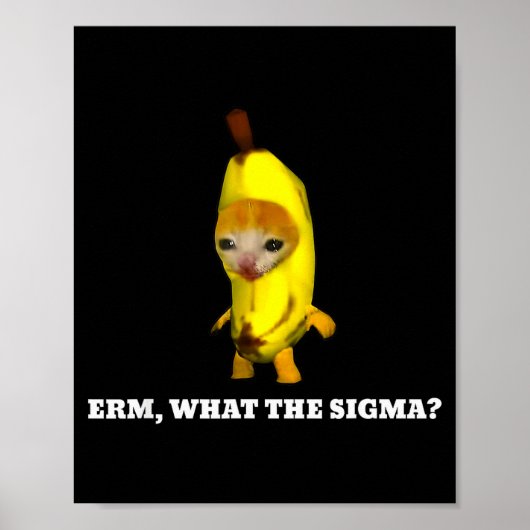 Poster Erm, Quel Sigma_ Mème de Chat Hommes Femmes Filles (Devant)