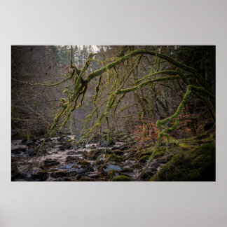 Poster Ermitage Dunkeld en hiver