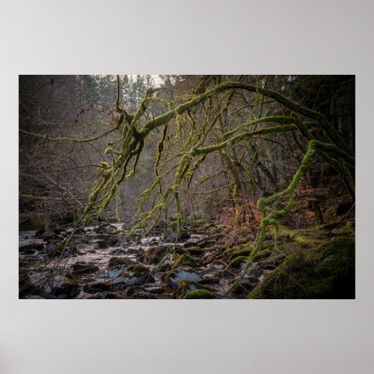 Poster Ermitage Dunkeld en hiver (Devant)