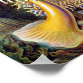 Poster Ernest-Haeckel (Coin)