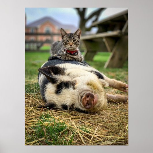 Poster Ernest & Sassy Print ! (Devant)