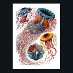 Poster Ernst Haeckel<br><div class="desc">Ernst Haeckel</div>