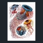 Poster Ernst Haeckel<br><div class="desc">Ernst Haeckel</div>
