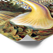 Poster Ernst Haeckel Actiniae (Coin)