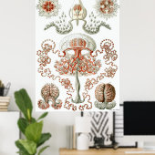 Poster Ernst Haeckel ~ Anthomedusae (Bureau à domicile)